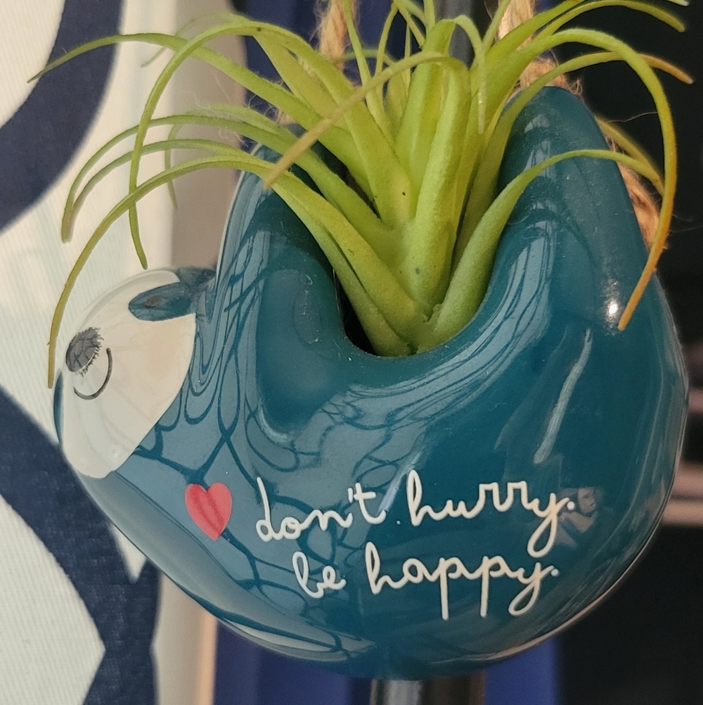 Natural Life Sloth Mini Hanging Faux Succulent